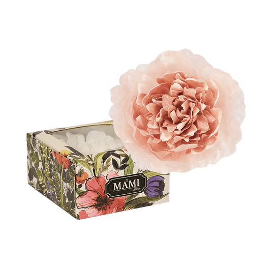 Fiore - Rose in fiore