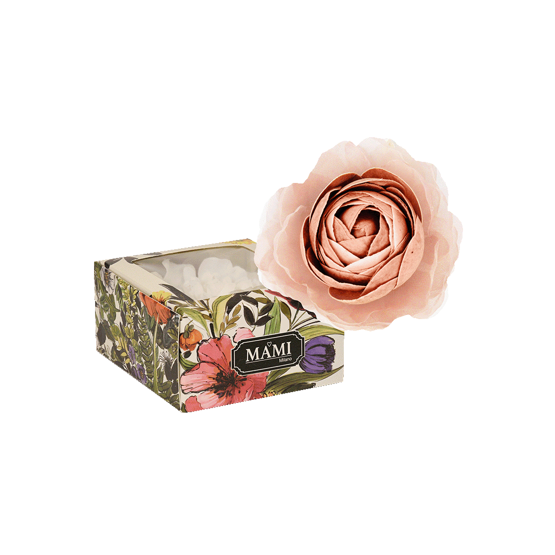 Fiore - Rose in fiore