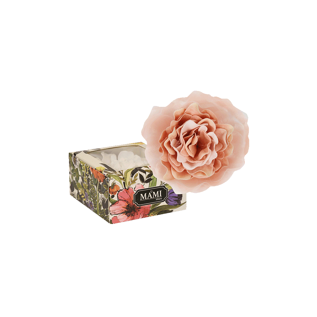 Fiore - Rose in fiore