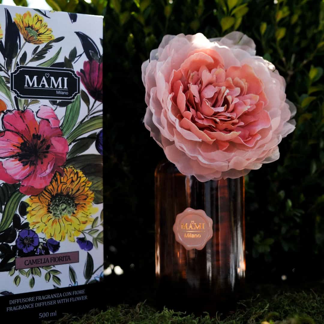 Fiore - Rose in fiore