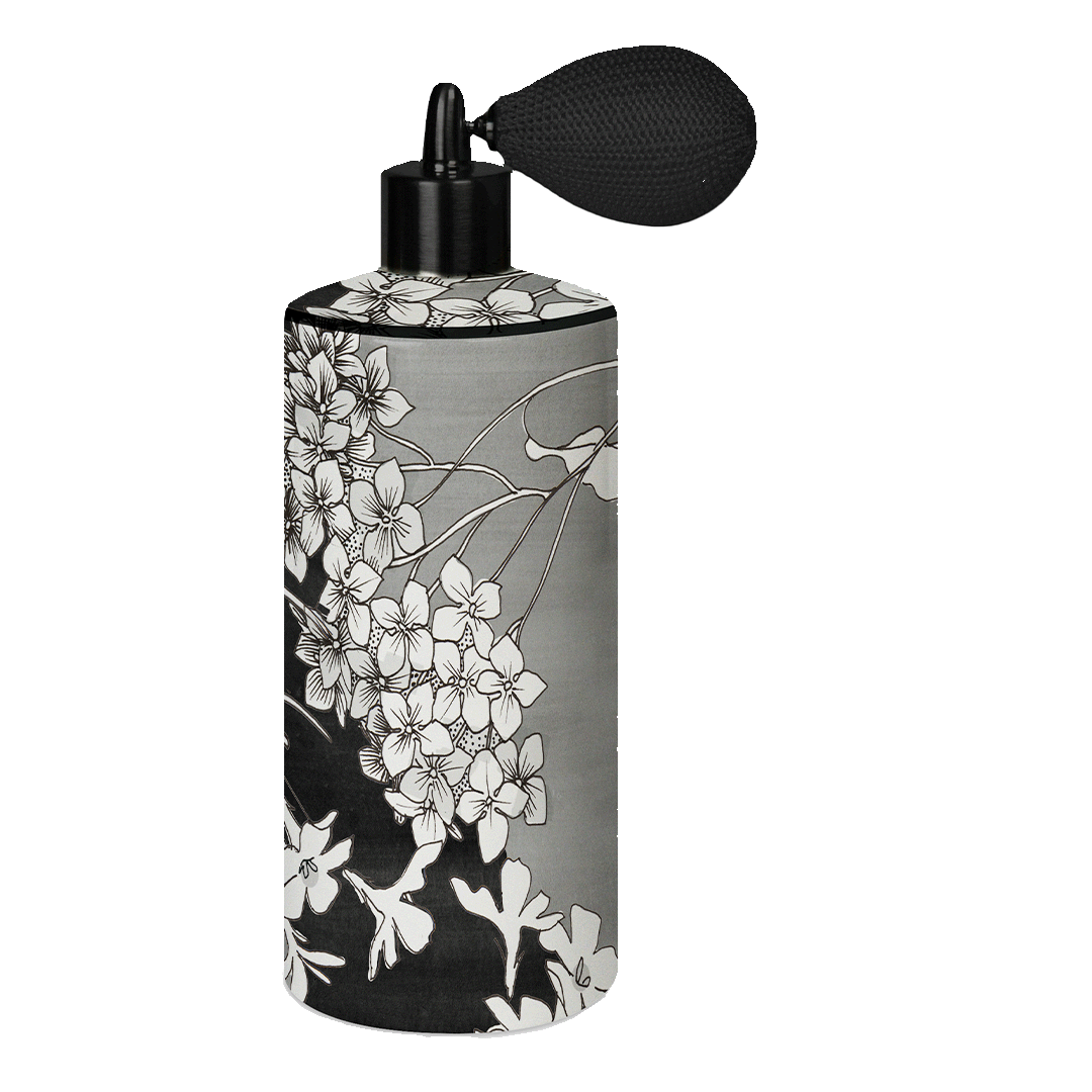 Dispenser Spray Ambiente - Il Fascino
